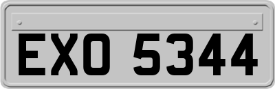 EXO5344