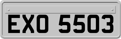 EXO5503