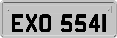 EXO5541