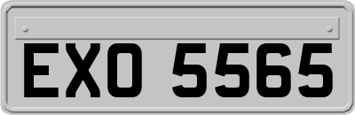 EXO5565