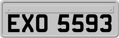 EXO5593