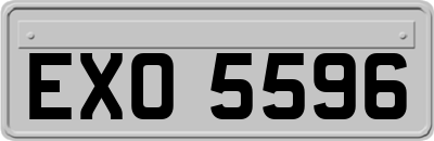 EXO5596