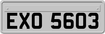 EXO5603