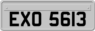 EXO5613