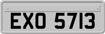 EXO5713