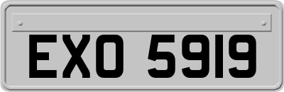 EXO5919
