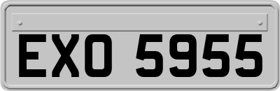EXO5955