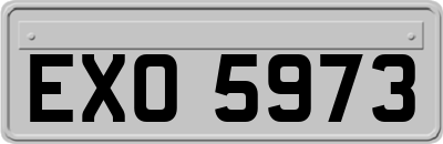 EXO5973