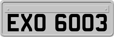 EXO6003
