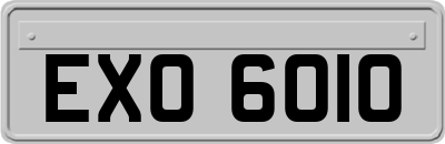 EXO6010