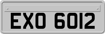 EXO6012