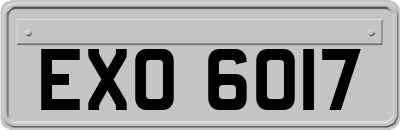 EXO6017