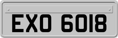 EXO6018