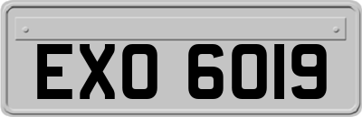 EXO6019