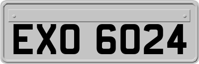 EXO6024