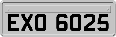 EXO6025
