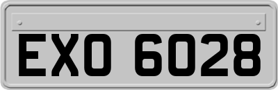 EXO6028