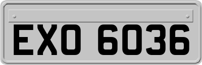 EXO6036