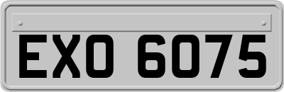 EXO6075