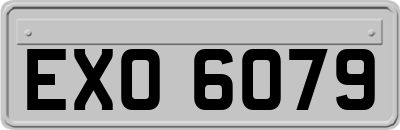 EXO6079