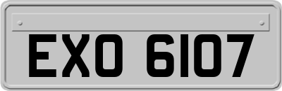 EXO6107
