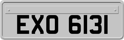 EXO6131