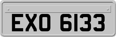EXO6133