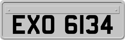 EXO6134