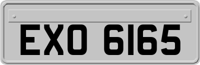 EXO6165