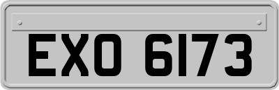 EXO6173