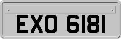 EXO6181