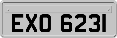 EXO6231