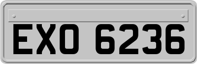 EXO6236