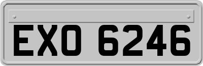 EXO6246
