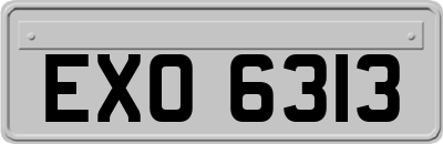 EXO6313