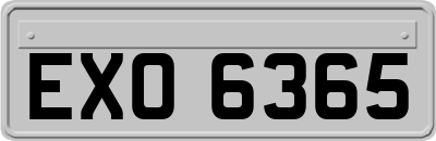 EXO6365