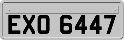 EXO6447