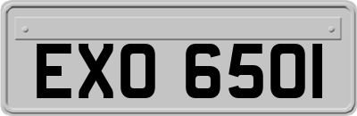 EXO6501