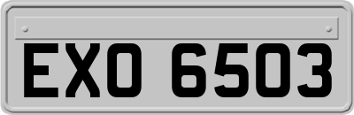 EXO6503