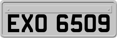 EXO6509
