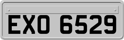 EXO6529