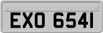 EXO6541