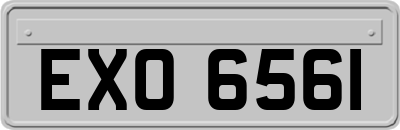 EXO6561