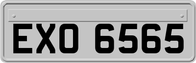 EXO6565