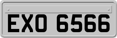 EXO6566