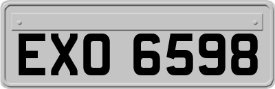 EXO6598