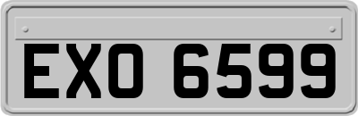 EXO6599
