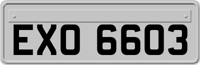 EXO6603