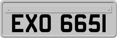 EXO6651