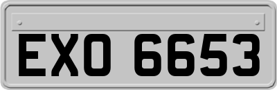 EXO6653